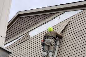 Best Aluminum Siding Installation  in Brass Castle, NJ